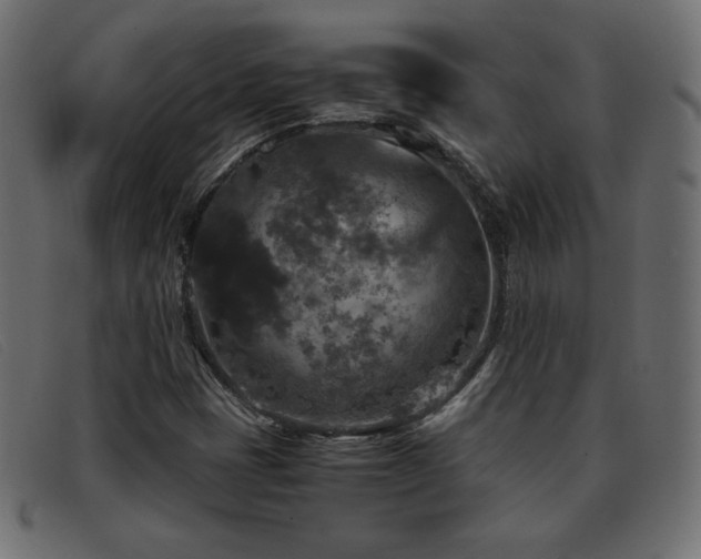 X0000093371401200710111428