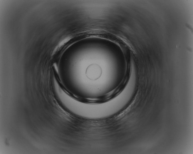 X0000093371402200710111428