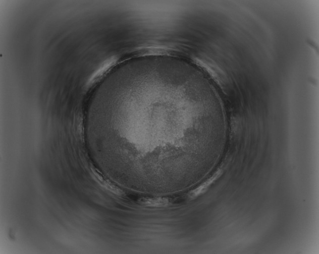 X0000093371403200710111428