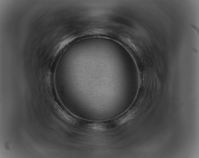 X0000093371404200710111428
