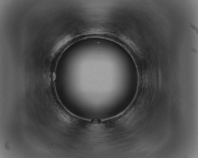 X0000093371406200710111428