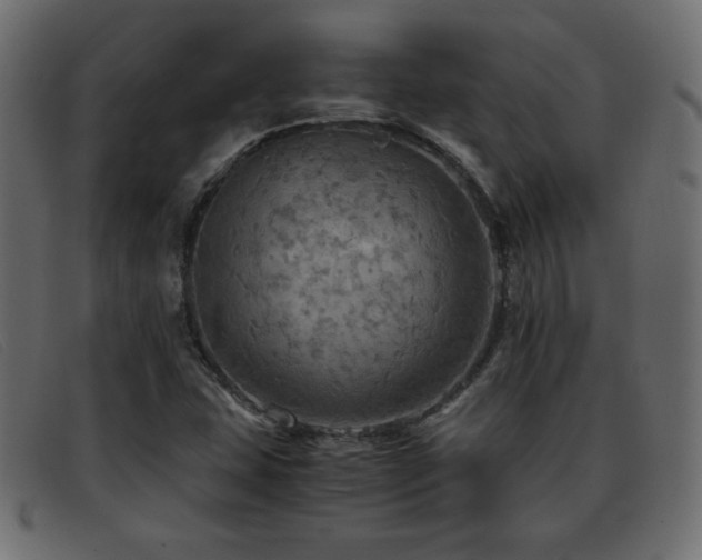 X0000093371407200710111428