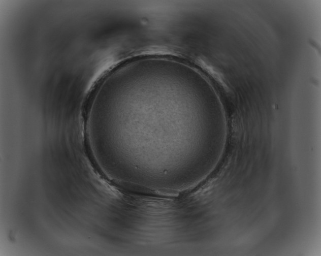 X0000093371408200710111428