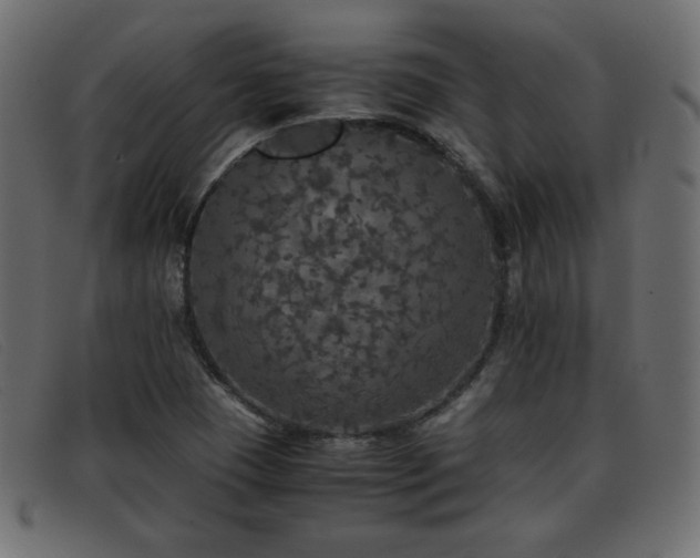 X0000093371409200710111428