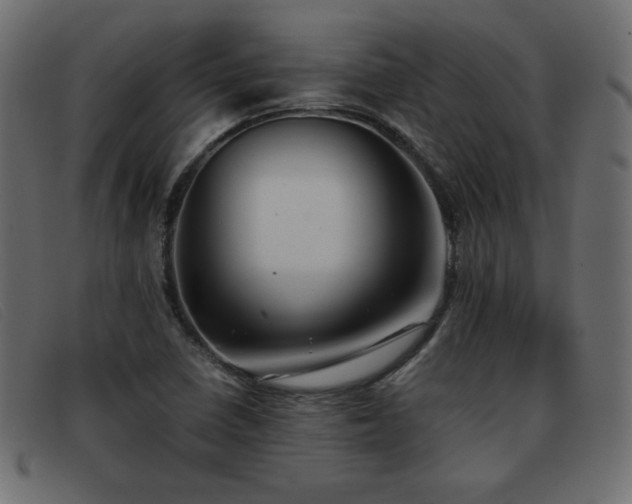 X0000093371410200710111428