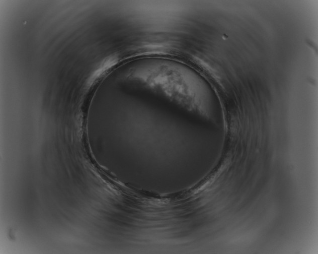 X0000093371411200710111428