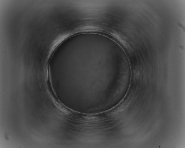 X0000093371413200710111428