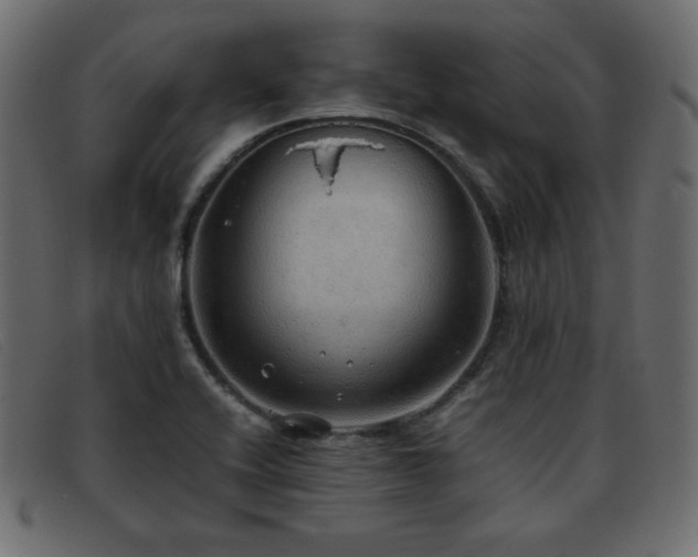 X0000093371416200710111428