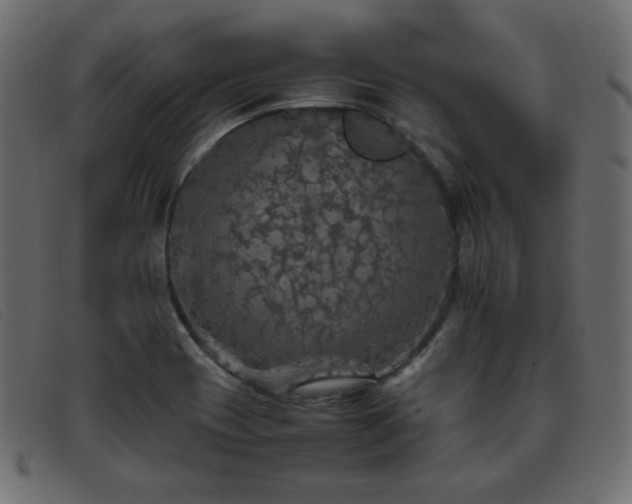 X0000093371417200710111428