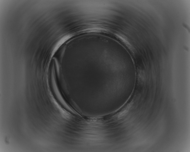 X0000093371418200710111428