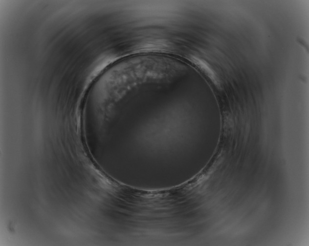 X0000093371419200710111428