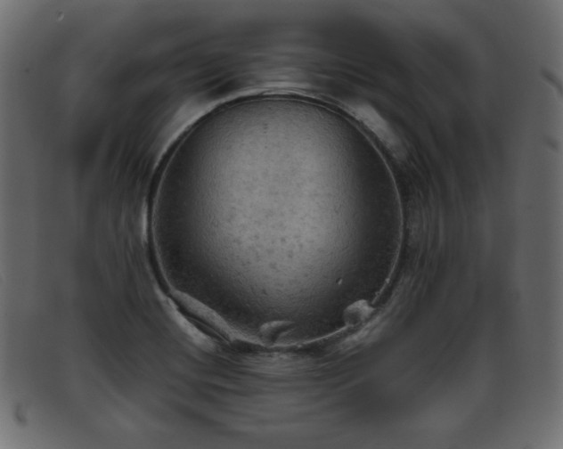X0000093371420200710111428