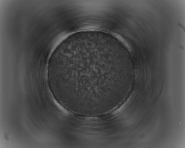 X0000093371421200710111428
