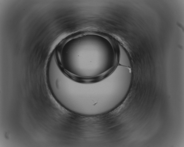 X0000093371422200710111428