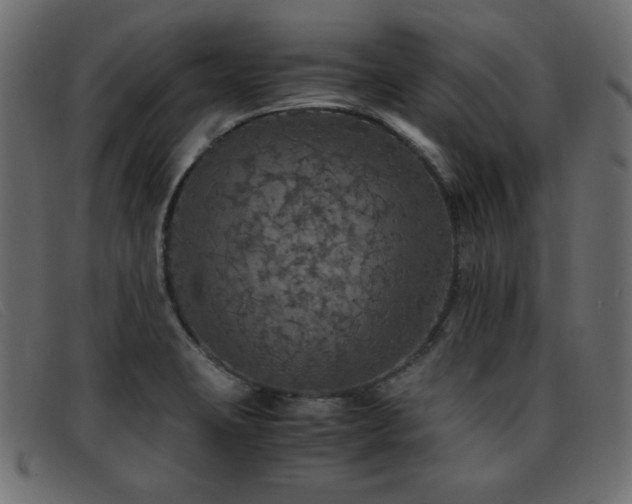 X0000093371423200710111428