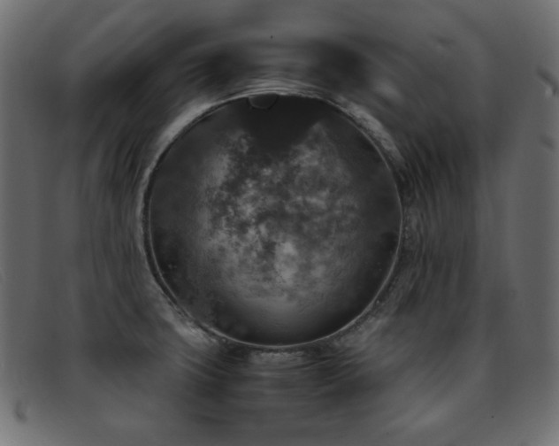 X0000093371427200710111428