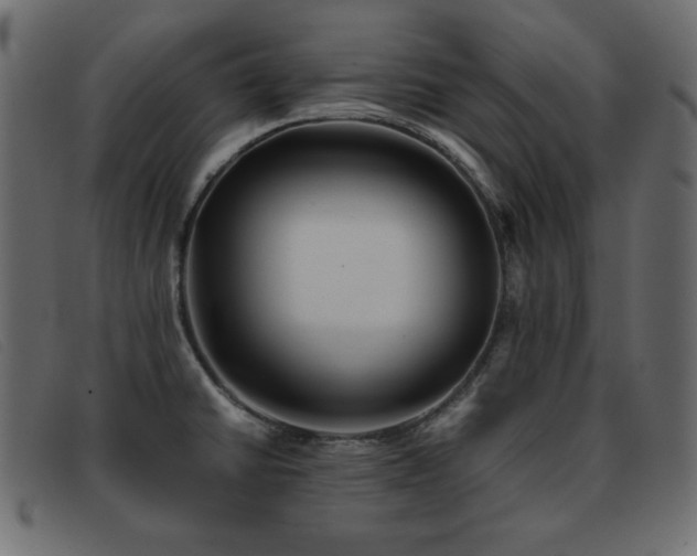 X0000093371430200710111428