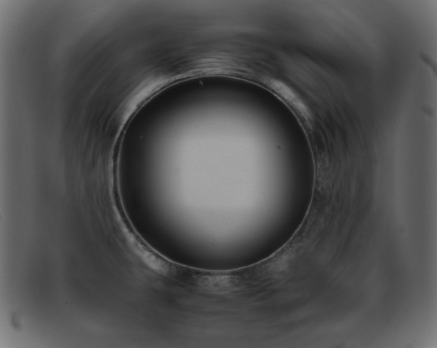 X0000093371431200710111428