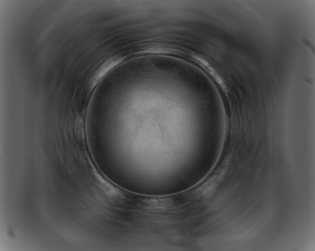 X0000093371433200710111428
