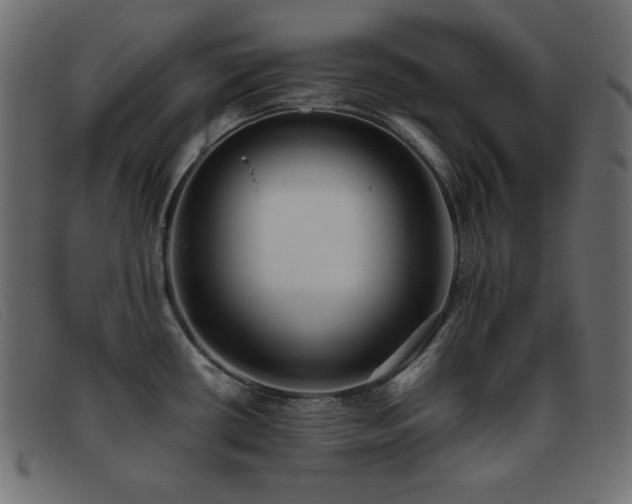 X0000093371434200710111428