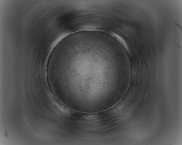 X0000093371435200710111428