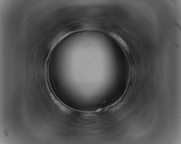 X0000093371439200710111428