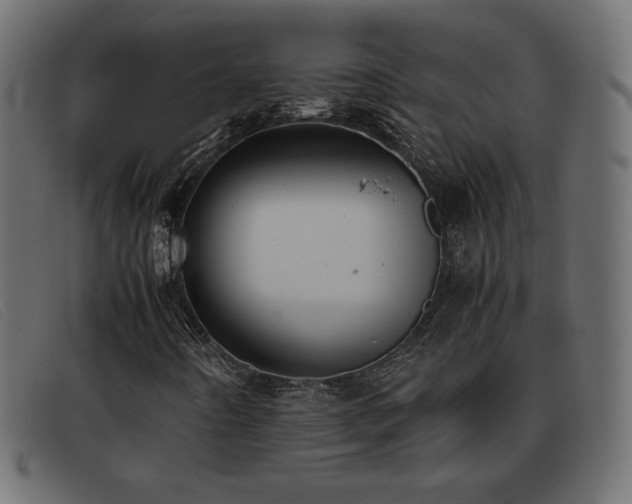 X0000093371442200710111428