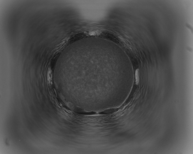 X0000093371443200710111428