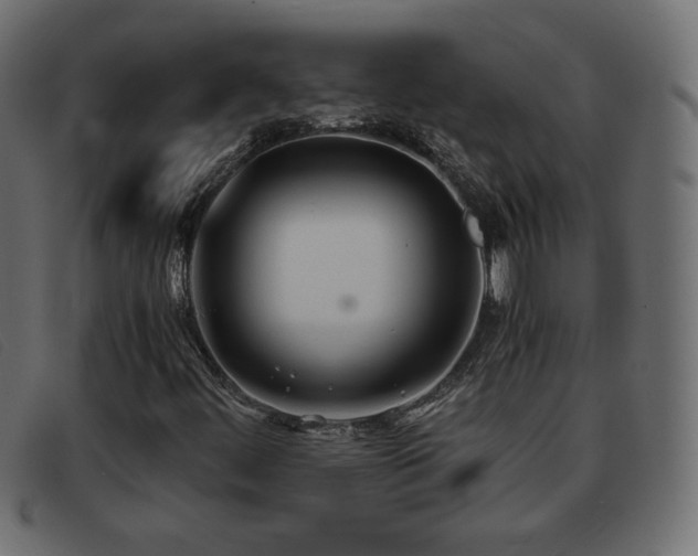 X0000093371444200710111428
