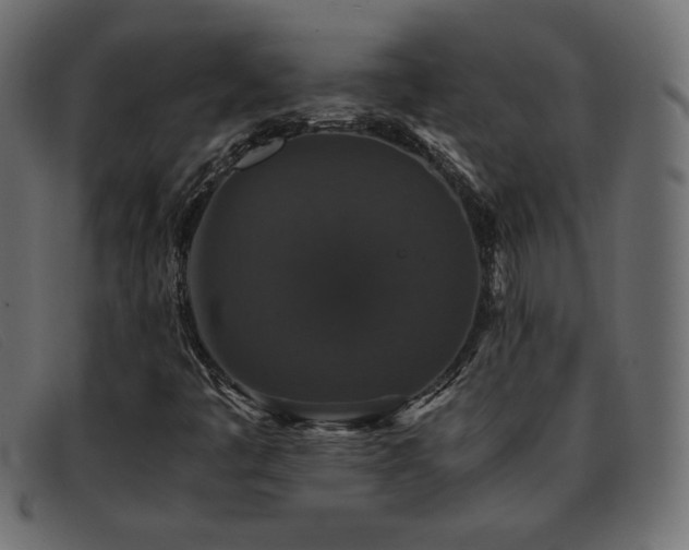X0000093371445200710111428
