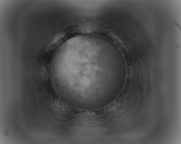X0000093371446200710111428