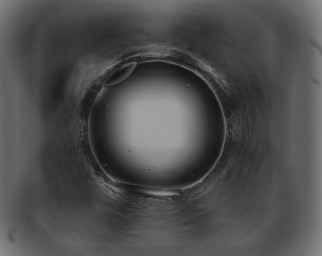 X0000093371448200710111428
