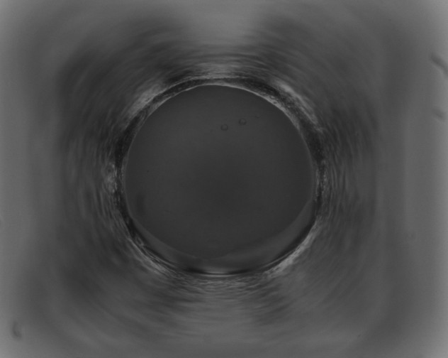 X0000093371449200710111428