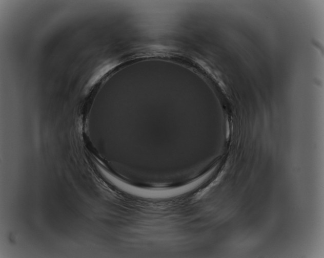 X0000093371453200710111428