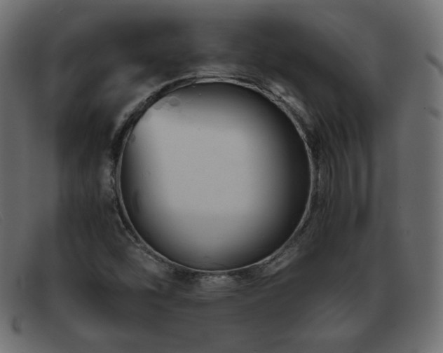 X0000093371454200710111428