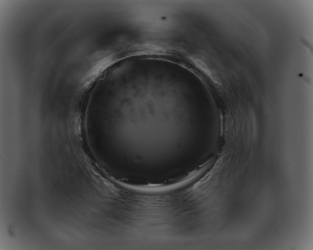 X0000093371455200710111428