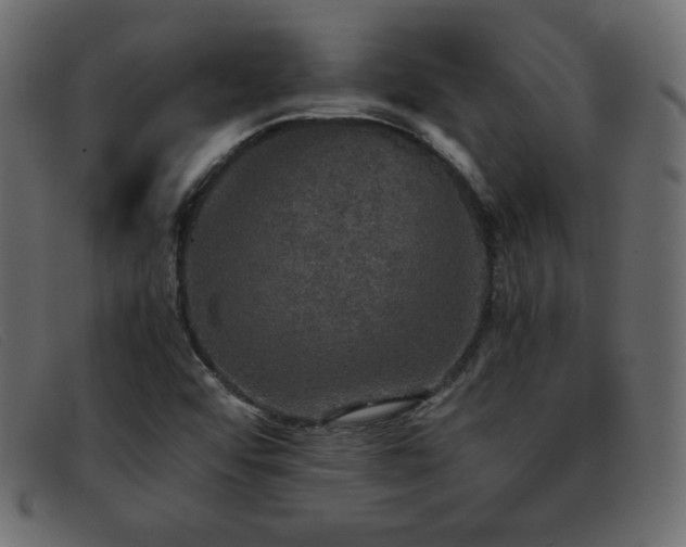 X0000093371456200710111428