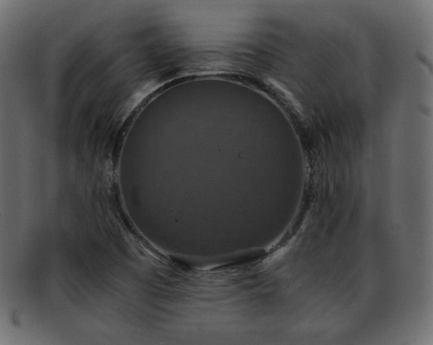 X0000093371457200710111428
