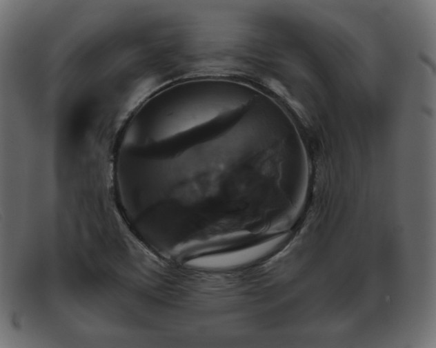 X0000093371459200710111428