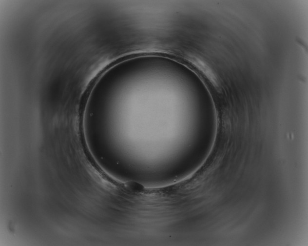 X0000093371460200710111428