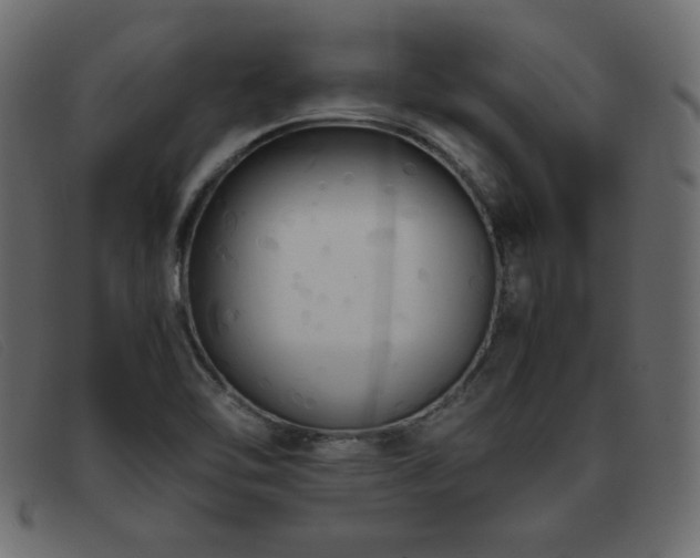 X0000093371462200710111428