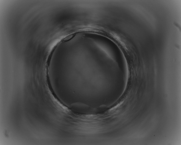 X0000093371463200710111427