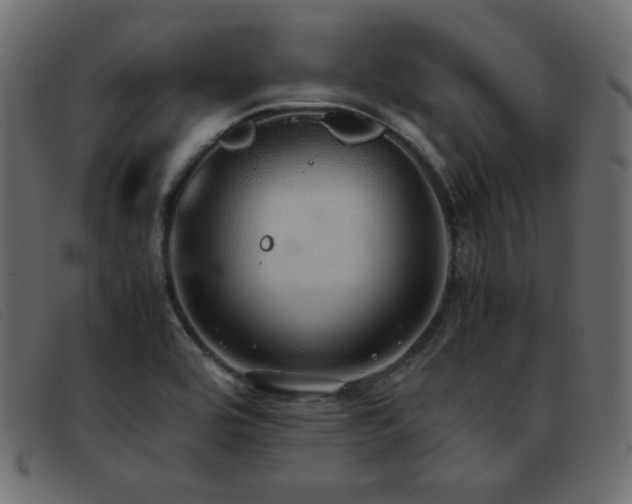 X0000093371464200710111427