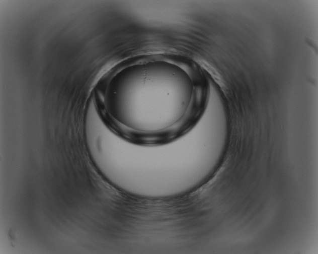 X0000093371465200710111427