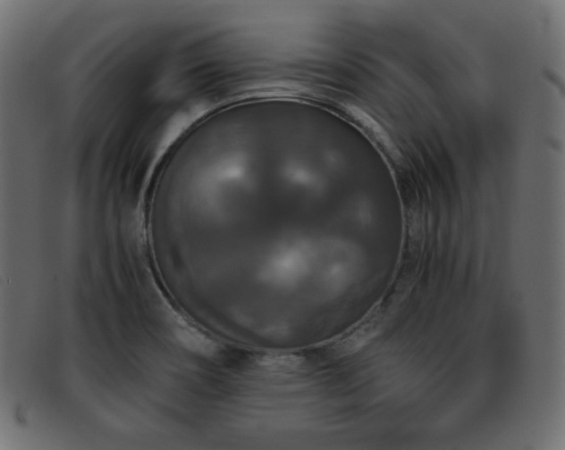 X0000093371466200710111427