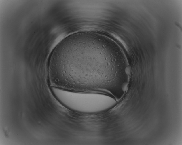 X0000093371467200710111427