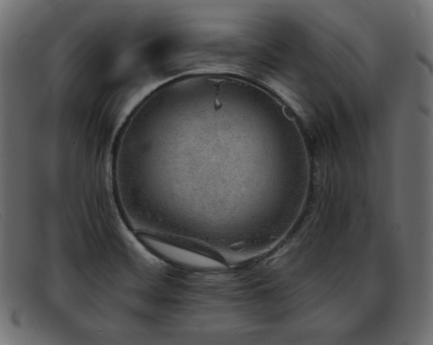 X0000093371468200710111427