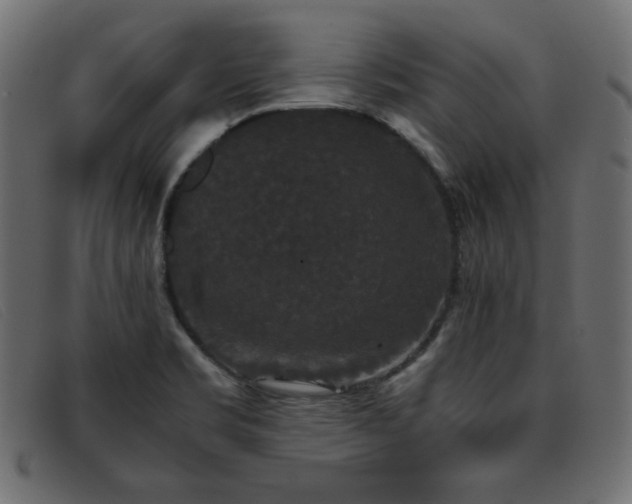 X0000093371469200710111427
