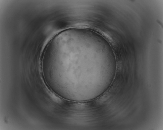 X0000093371470200710111427