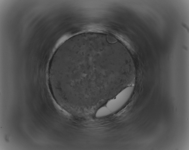 X0000093371471200710111427